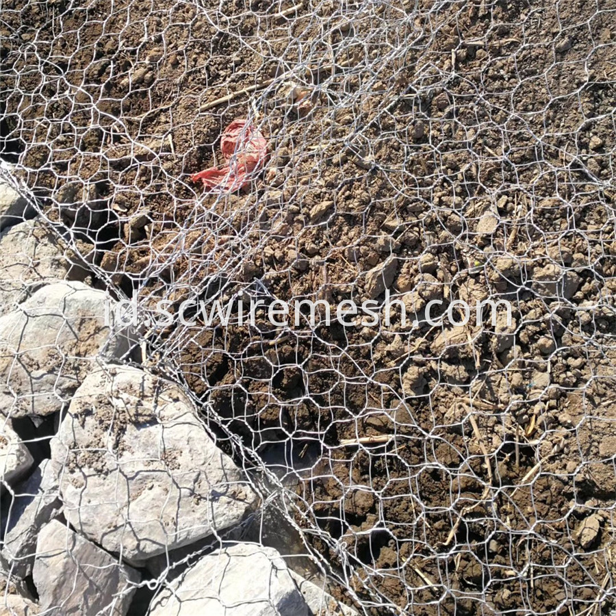 Gabion Cage